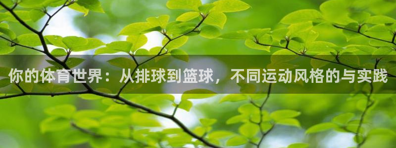 k1体育网址是多少：你的体育世界：从排球到篮球，不同运动风格的与实践