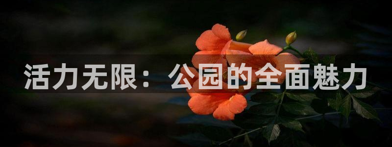 k1体育十年品牌值得信赖：活力无限：公园的全面魅力