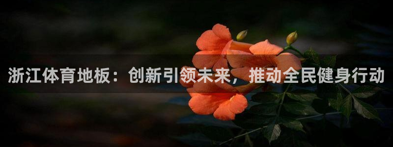 k1体育十年品牌：浙江体育地板：创新引领未来，推动全民健身行动