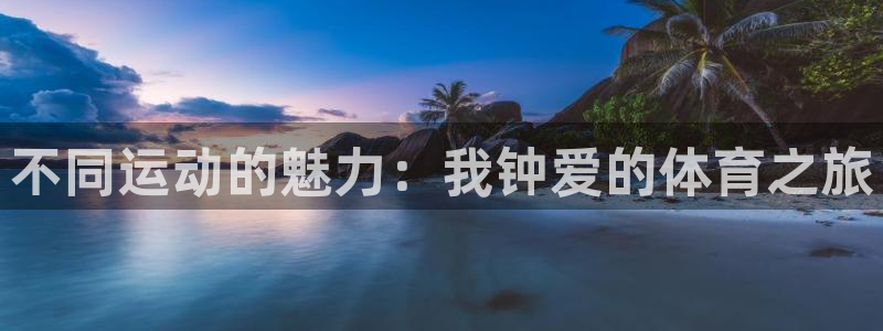 帮k1体育在线登录：不同运动的魅力：我钟爱的体育之旅