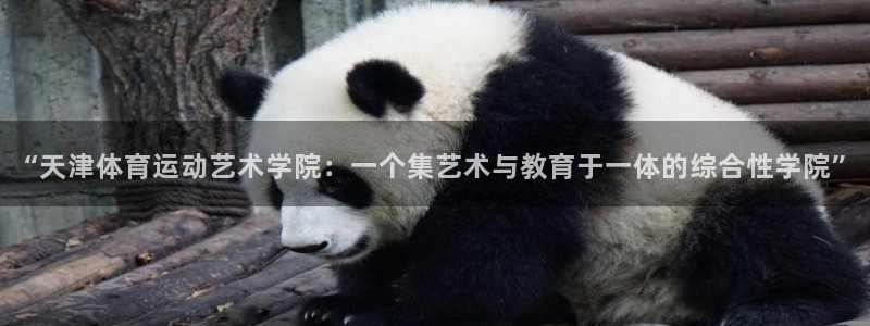 k1体育平台下载：“天津体育运动艺术学院：一个集艺术与教育于一体的综合性学院”