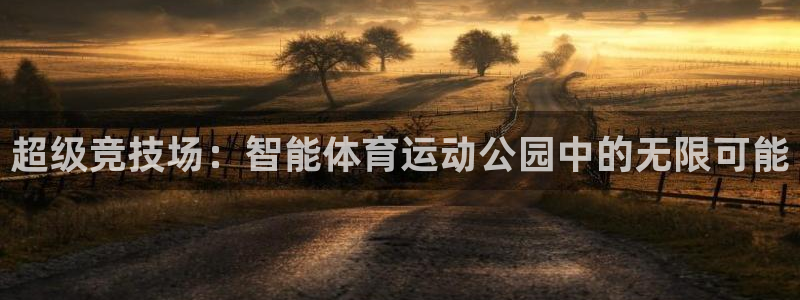 k1体育棋牌：超级竞技场：智能体育运动公园中的无限可能