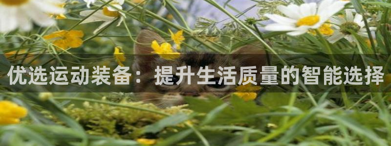 k1体育网址是多少