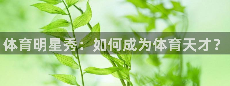 k1体育链接
