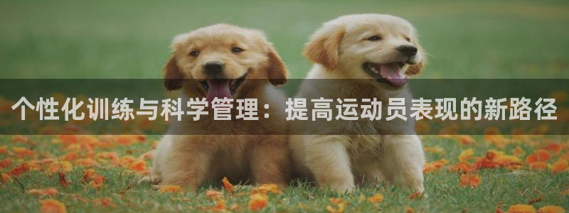 k1体育十年品牌：个性化训练与科学管理：提高运动员表现的新路径