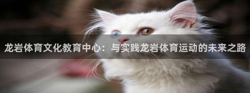 k1体育app下载：龙岩体育文化教育中心：与实践龙岩体育运动的未来之路